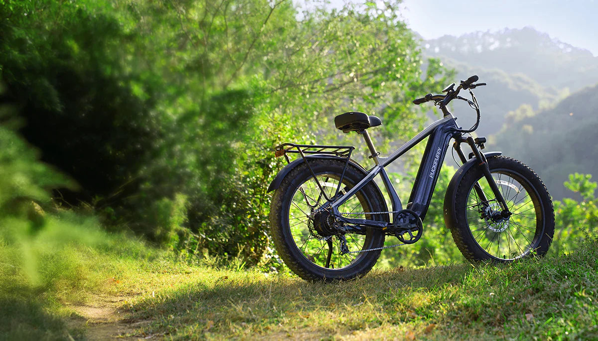 Vélos électriques tout-terrain